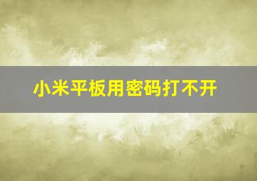 小米平板用密码打不开