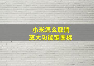 小米怎么取消放大功能键图标