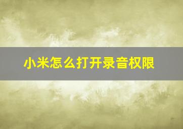 小米怎么打开录音权限