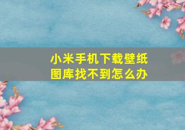 小米手机下载壁纸图库找不到怎么办