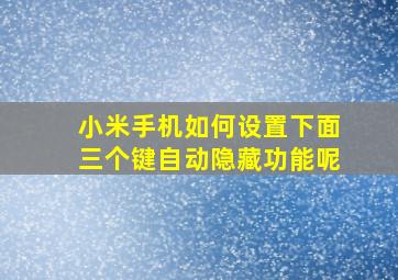 小米手机如何设置下面三个键自动隐藏功能呢