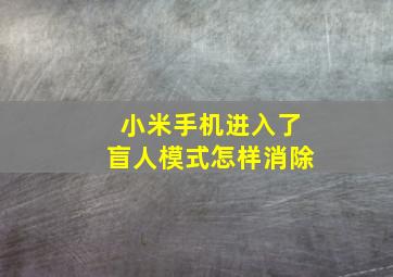 小米手机进入了盲人模式怎样消除