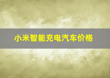 小米智能充电汽车价格