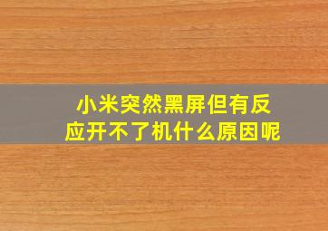 小米突然黑屏但有反应开不了机什么原因呢