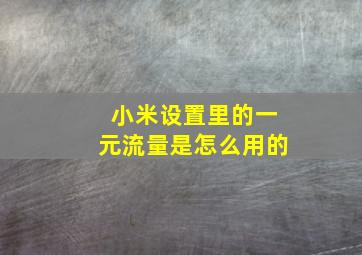 小米设置里的一元流量是怎么用的