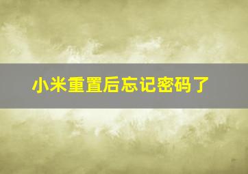 小米重置后忘记密码了