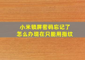 小米锁屏密码忘记了怎么办现在只能用指纹