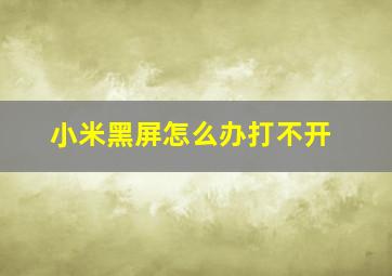 小米黑屏怎么办打不开