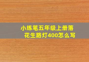 小练笔五年级上册落花生路灯400怎么写