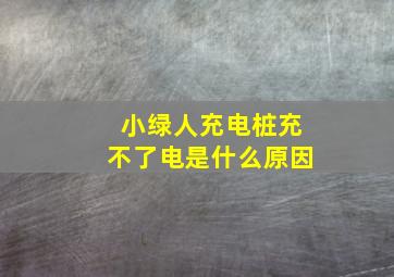 小绿人充电桩充不了电是什么原因