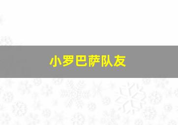 小罗巴萨队友