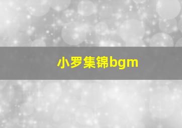 小罗集锦bgm