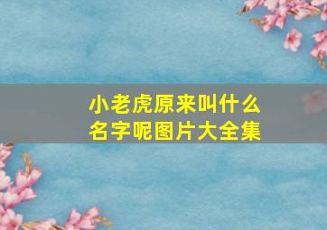 小老虎原来叫什么名字呢图片大全集