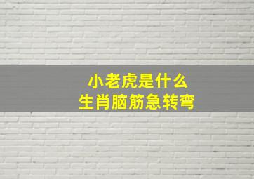 小老虎是什么生肖脑筋急转弯