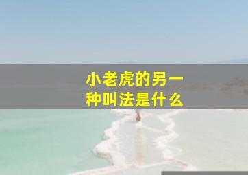 小老虎的另一种叫法是什么