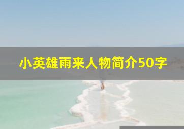 小英雄雨来人物简介50字