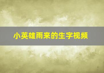 小英雄雨来的生字视频