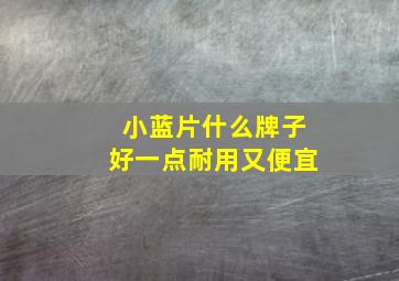 小蓝片什么牌子好一点耐用又便宜