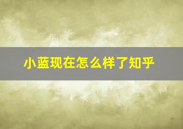 小蓝现在怎么样了知乎