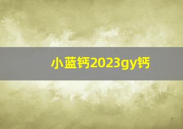 小蓝钙2023gy钙