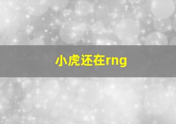 小虎还在rng