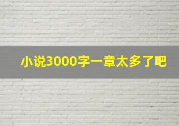 小说3000字一章太多了吧