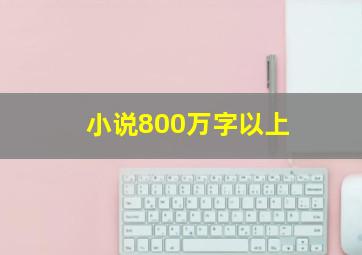 小说800万字以上