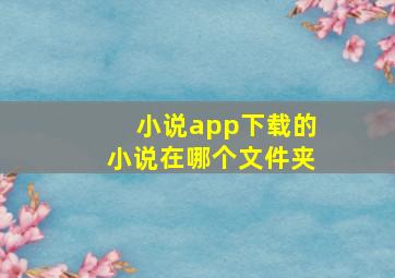 小说app下载的小说在哪个文件夹