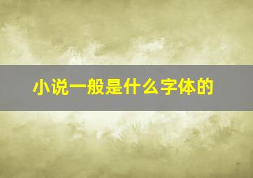 小说一般是什么字体的