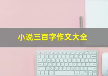 小说三百字作文大全