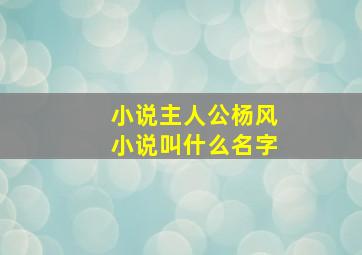 小说主人公杨风小说叫什么名字