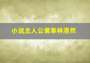 小说主人公萧寒林洛然