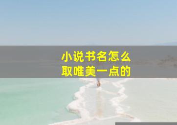 小说书名怎么取唯美一点的