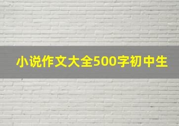 小说作文大全500字初中生