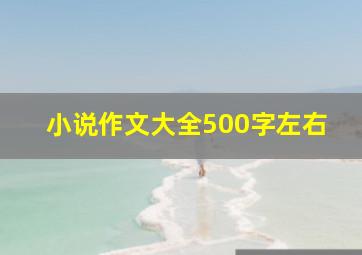 小说作文大全500字左右