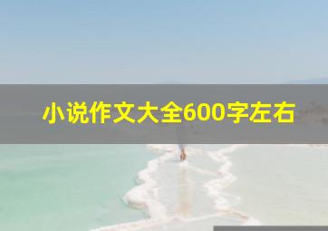 小说作文大全600字左右