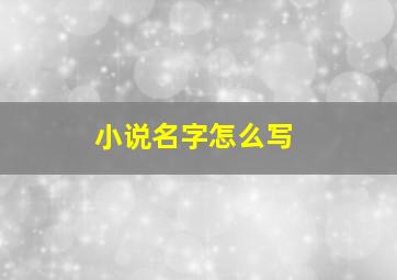 小说名字怎么写