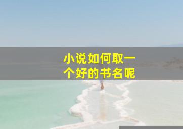 小说如何取一个好的书名呢