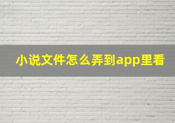 小说文件怎么弄到app里看