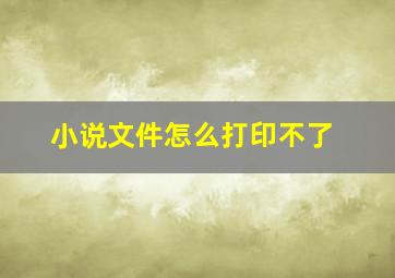 小说文件怎么打印不了