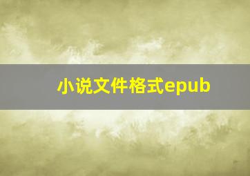 小说文件格式epub