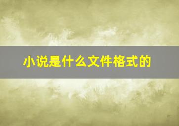 小说是什么文件格式的