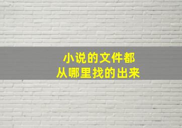 小说的文件都从哪里找的出来