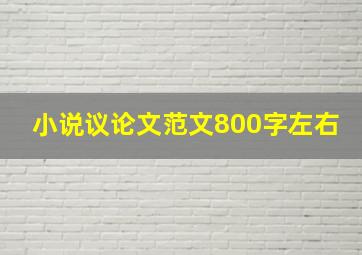 小说议论文范文800字左右