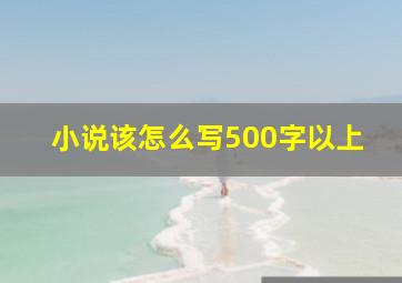 小说该怎么写500字以上