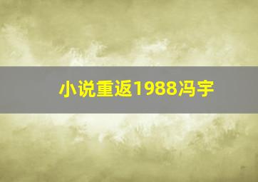 小说重返1988冯宇