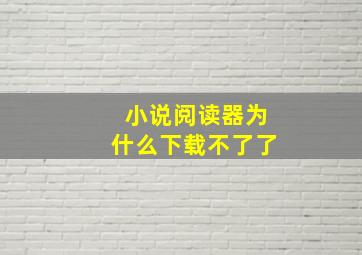 小说阅读器为什么下载不了了