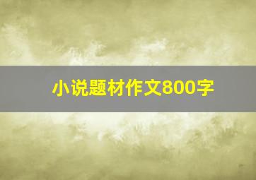 小说题材作文800字