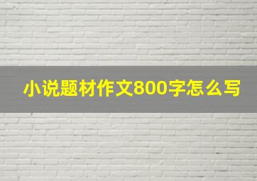 小说题材作文800字怎么写