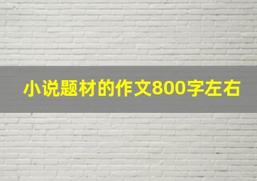 小说题材的作文800字左右